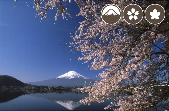 産屋ヶ崎